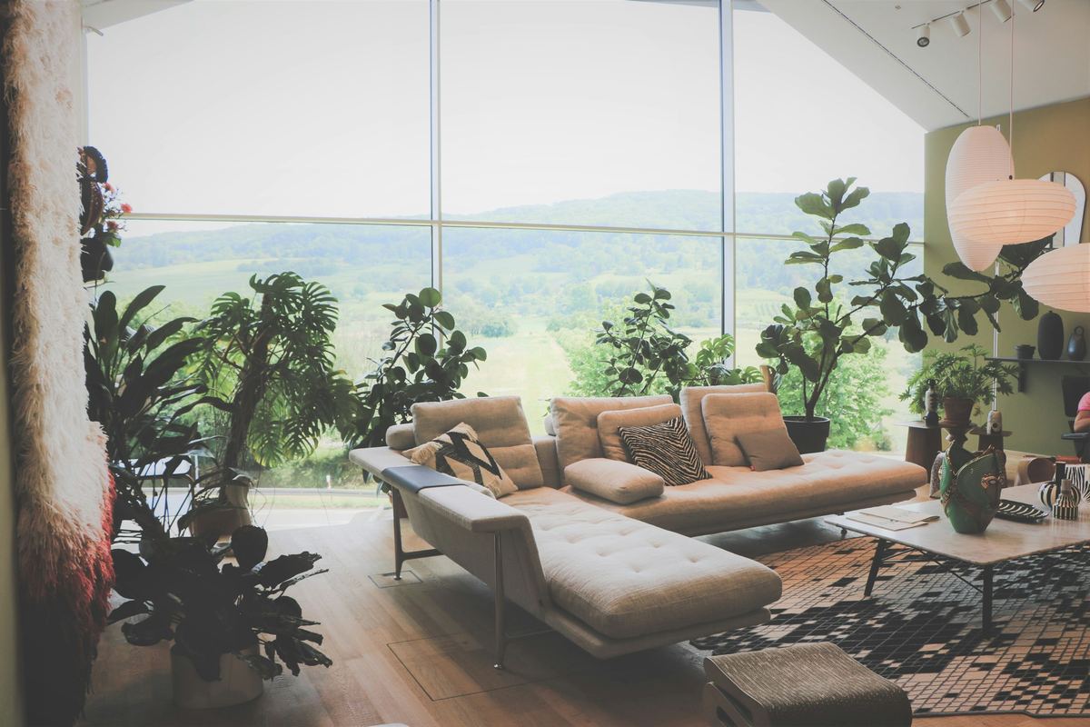 Living room with large windows, a sofa, and many house plants